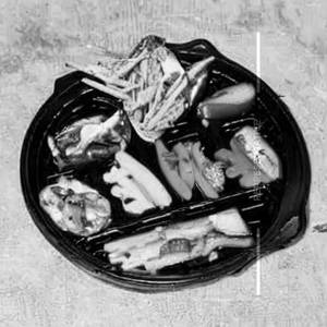 Mini Veg Grill