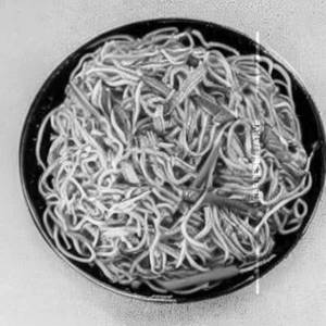 Schezwan Prawn Soft Noodle