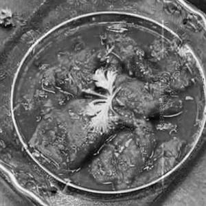 Rawas Fish Chilly 