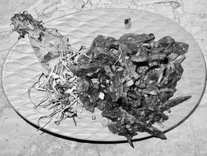 Crispy Lotus Stem