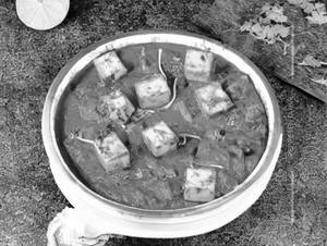 Mattar Paneer Masala