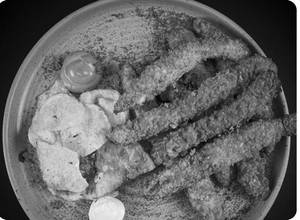 Crunchy Chaap ( 10 Pieces )