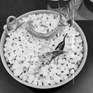 Sabudana Khichadi