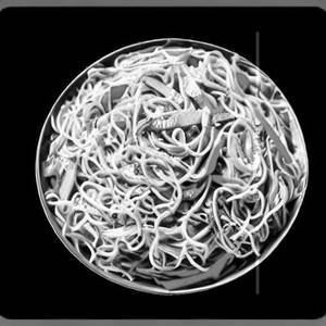Veg Hakka Noodles