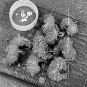 Lime & Ginger Crispy Fried Prawns