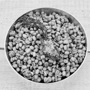 Pachai Payaru Puliyodharai Sundal (250 Ml Container)