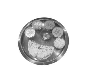 Jain thali