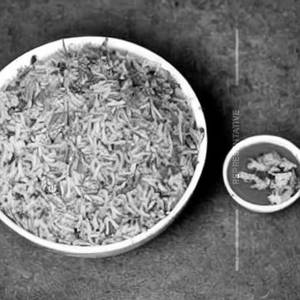 Mix Tomato Coriander Fried Rice