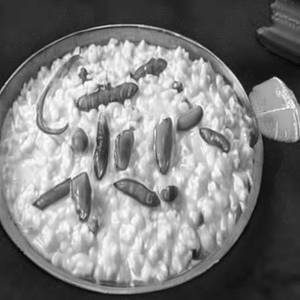 Curd Rice