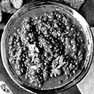 Mutton masala