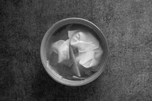 Wonton Soup