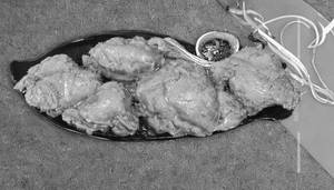 Chicken Sukka