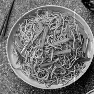 Mixed Veg Fried Noodles