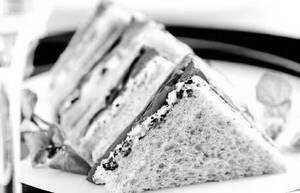 Veg cheese sandwich