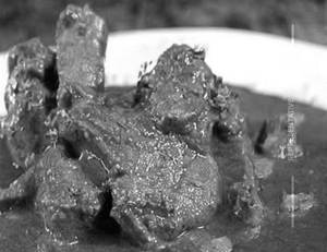 Mutton Curry