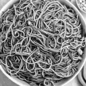 Chicken Hakka Noodles