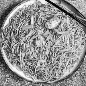 Egg Pan Fried Noodles