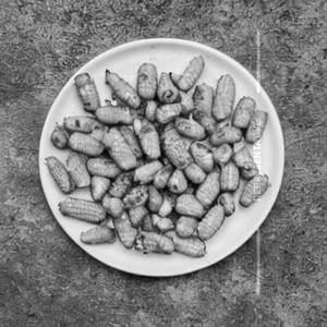 Corn Fry