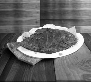 Avoli Fry ( Pomfret Fry)
