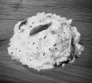 Curd Rice