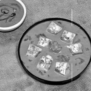 Shahi Paneer Sweet