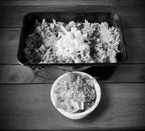 Veg Nasi Goreng Fried Rice