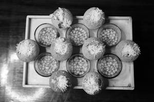 Puri Hu Mai [6pcs]