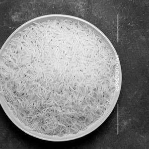 Plain Rice                