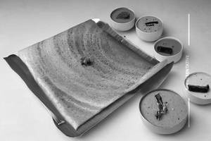 Rava Special Dosa