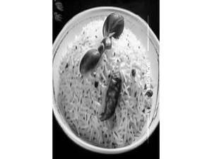 Plain Biryani Rice