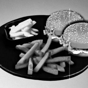 Cheese burger non veg