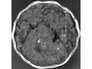 Capsicum Masala