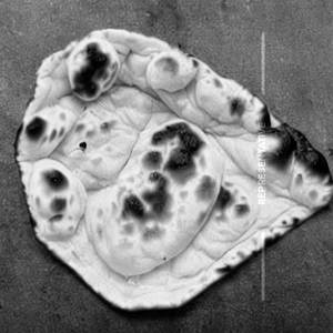 Naan