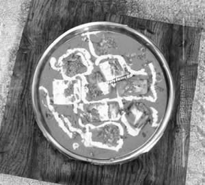 Paneer kadhai