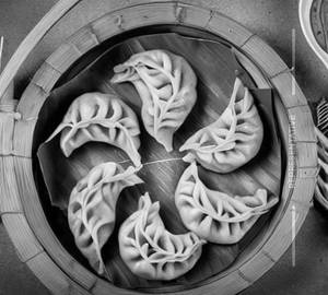 Veg Pan Fried Momos Full