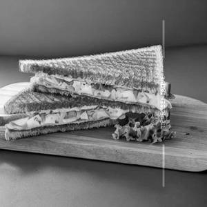 Double Chees Sandwich