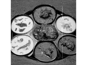 Mutton Family Pack