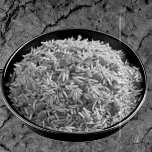Tomato Rice