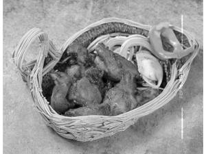 Chicken Fry (boneless)