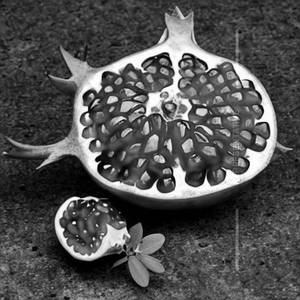 Pomegranate Juice