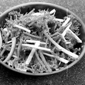 Stick Salad
