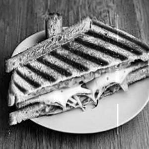 Cheese Grilled Sandwich