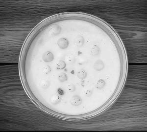 Makhana raita
