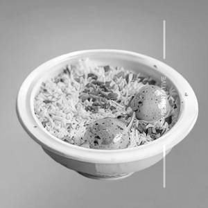 Fried Rice Egg