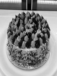 Choco Chips Cake