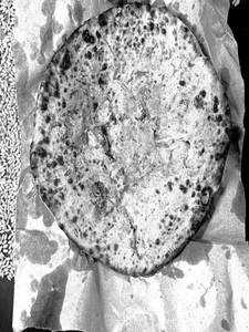 Aloo Parantha(whole Wheat)