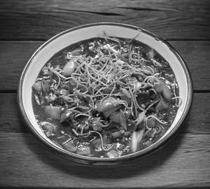 Chicken American Chopsuey