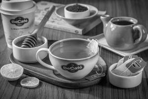 Green Tea [Medium]