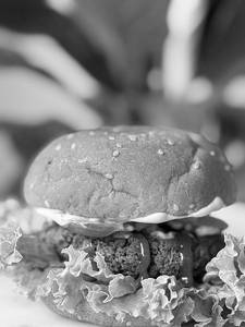 Soya  Kabab Protein Burger (V)  [Protein 27, Kcal 440]
