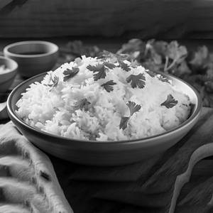 Plain Rice